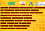 setup and manage and optimize high conversion shopify google ads PPC campaign